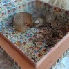 Mother of Pearl Jewelry Box | Custom Wooden Jewelry Case with Unique Inlay | Antique Jewelry Organizer for Birthday Gifts | Gift for her